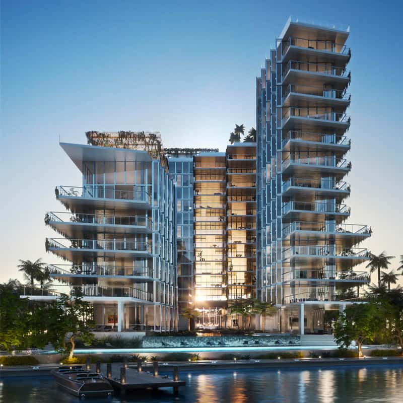 Project In Miami